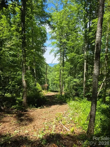 533 Enchanted Forest Drive Sylva NC 28779
