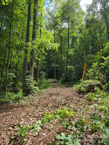 533 Enchanted Forest Drive Sylva NC 28779