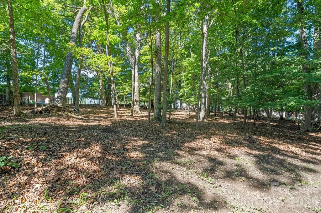 55 Overlook Drive Candler NC 28715