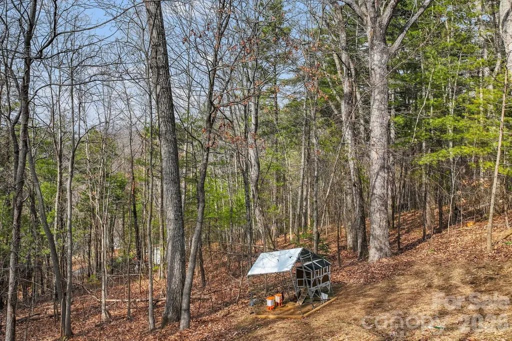 505 Kings Ridge Asheville NC 28804