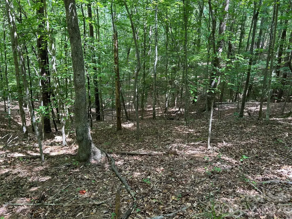 0 Wilderness Ridge Rutherfordton NC 28139