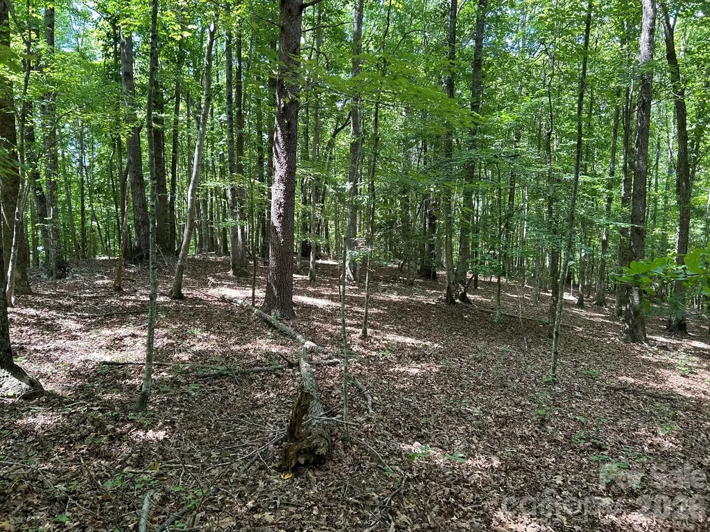 0 Wilderness Ridge Rutherfordton NC 28139