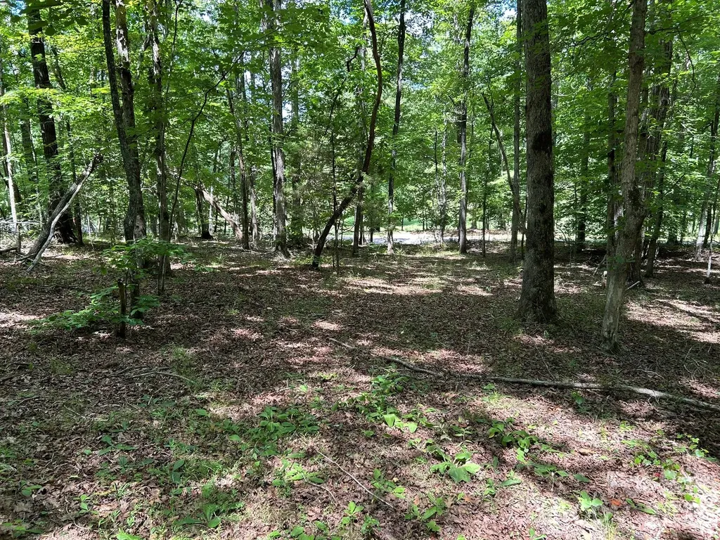 0 Wilderness Ridge Rutherfordton NC 28139