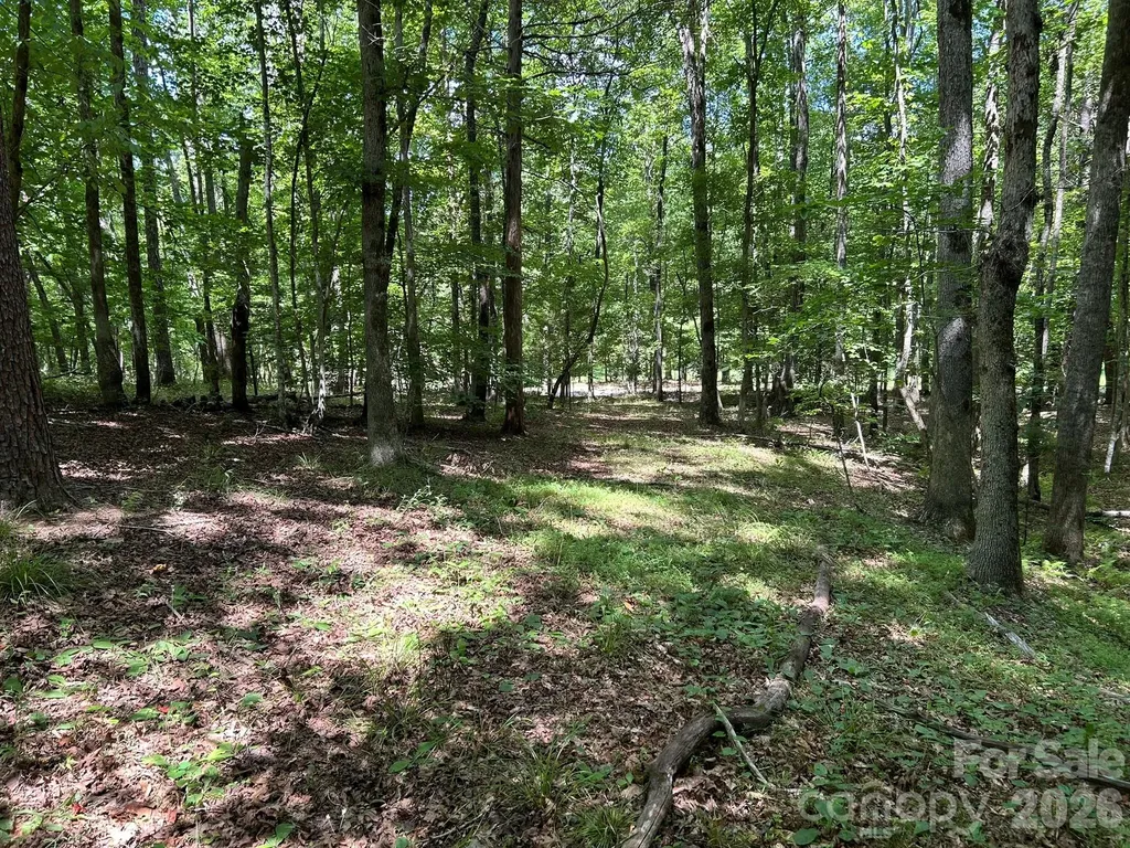 0 Wilderness Ridge Rutherfordton NC 28139