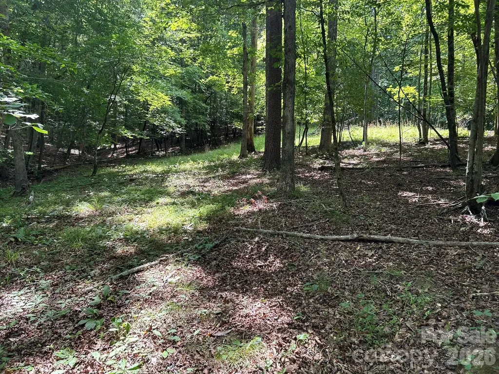 0 Wilderness Ridge Rutherfordton NC 28139