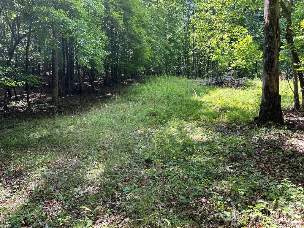 0 Wilderness Ridge Rutherfordton NC 28139