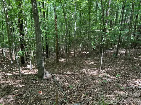 0 Wilderness Ridge Rutherfordton NC 28139