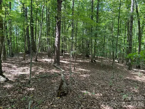 0 Wilderness Ridge Rutherfordton NC 28139