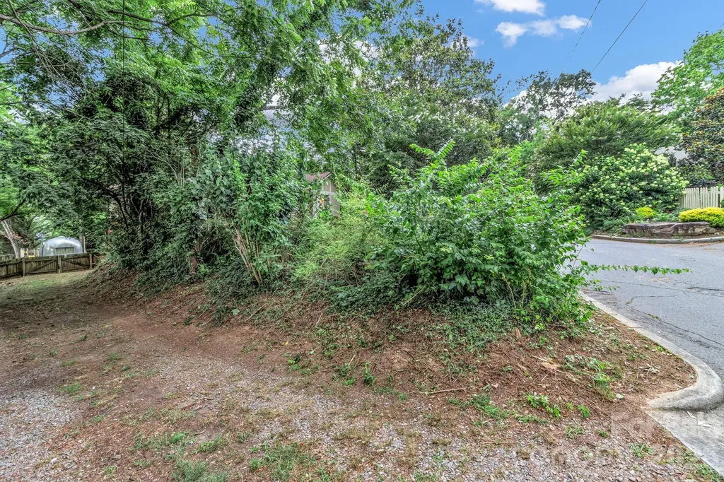 22 Fenner Avenue Asheville NC 28804