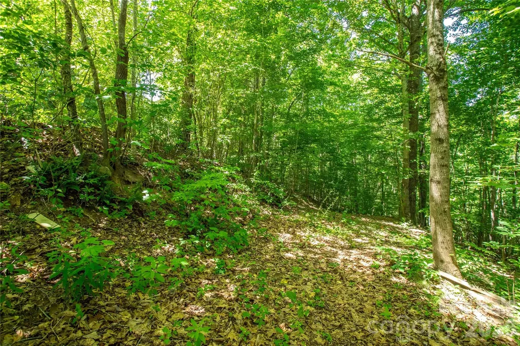 71 Timberwood Drive Asheville NC 28806