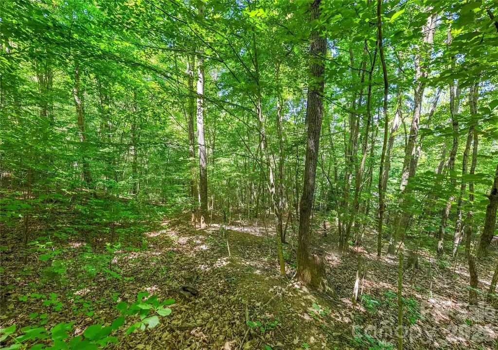 71 Timberwood Drive Asheville NC 28806