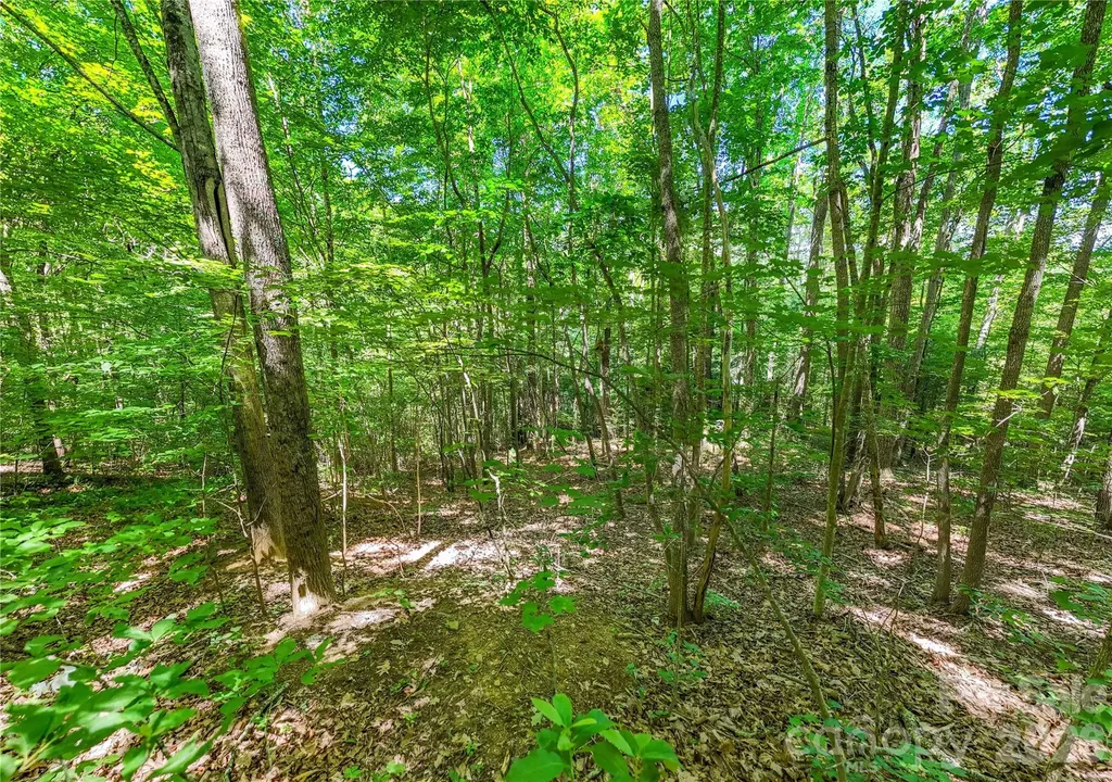 71 Timberwood Drive Asheville NC 28806
