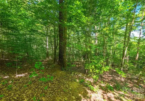 71 Timberwood Drive Asheville NC 28806