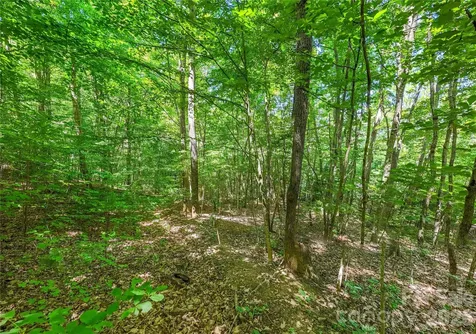 71 Timberwood Drive Asheville NC 28806