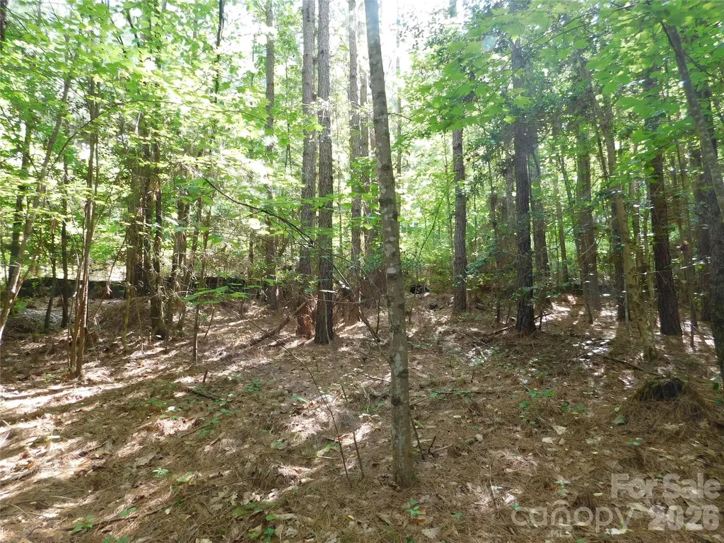 207 W Settings Boulevard NW Valdese NC 28690