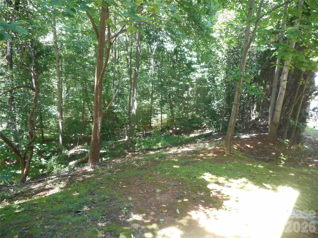 8037 Shiny Meadow Lane Charlotte NC 28215