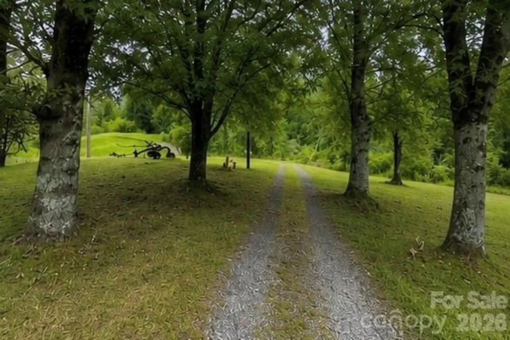 5020 Old Nc Highway 16 Millers Creek NC 28651