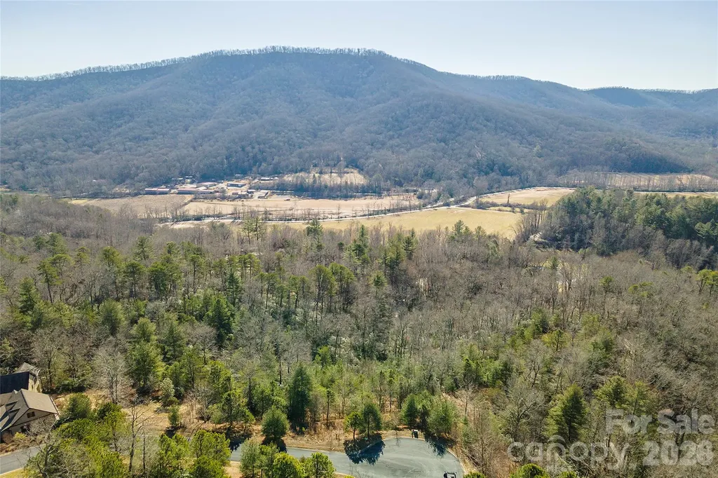 99999 Woodhen Way Horse Shoe NC 28742