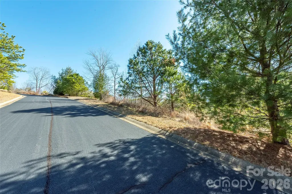 99999 Woodhen Way Horse Shoe NC 28742