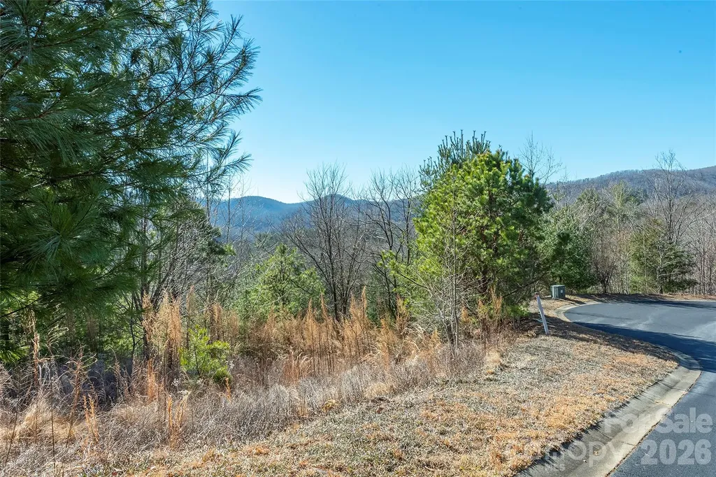 99999 Woodhen Way Horse Shoe NC 28742
