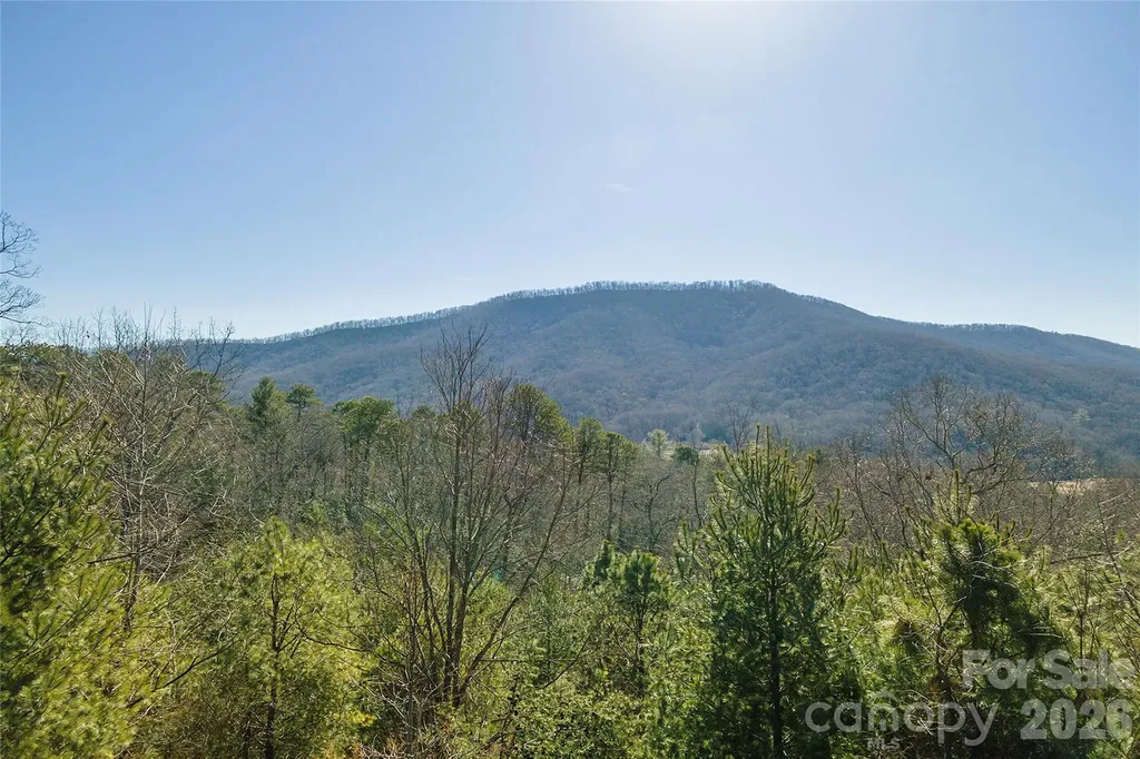 99999 Woodhen Way Horse Shoe NC 28742
