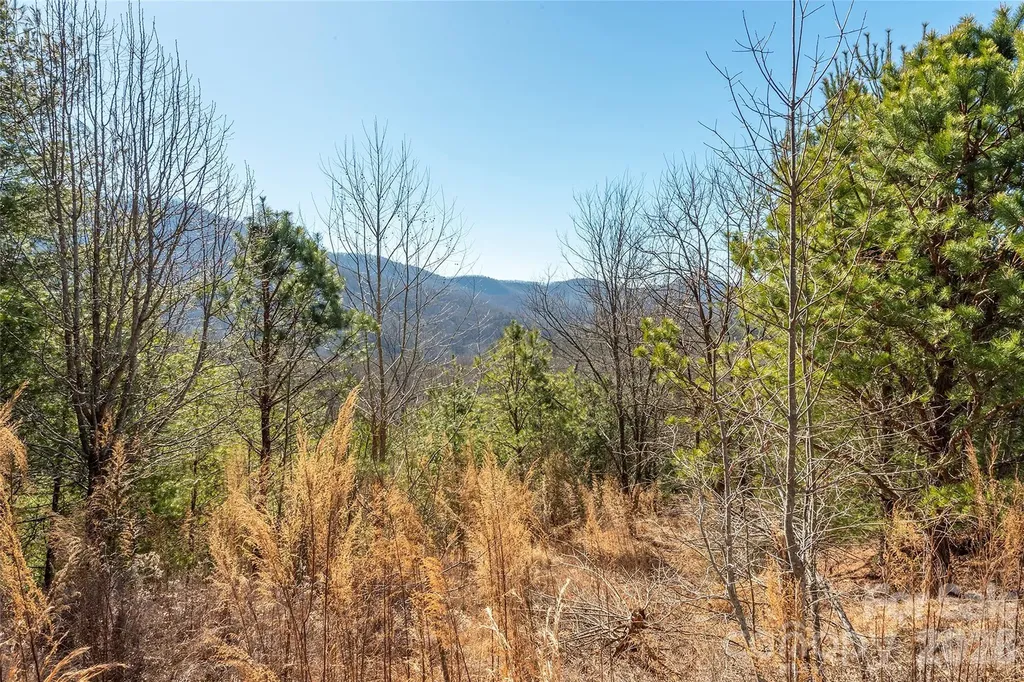 99999 Woodhen Way Horse Shoe NC 28742