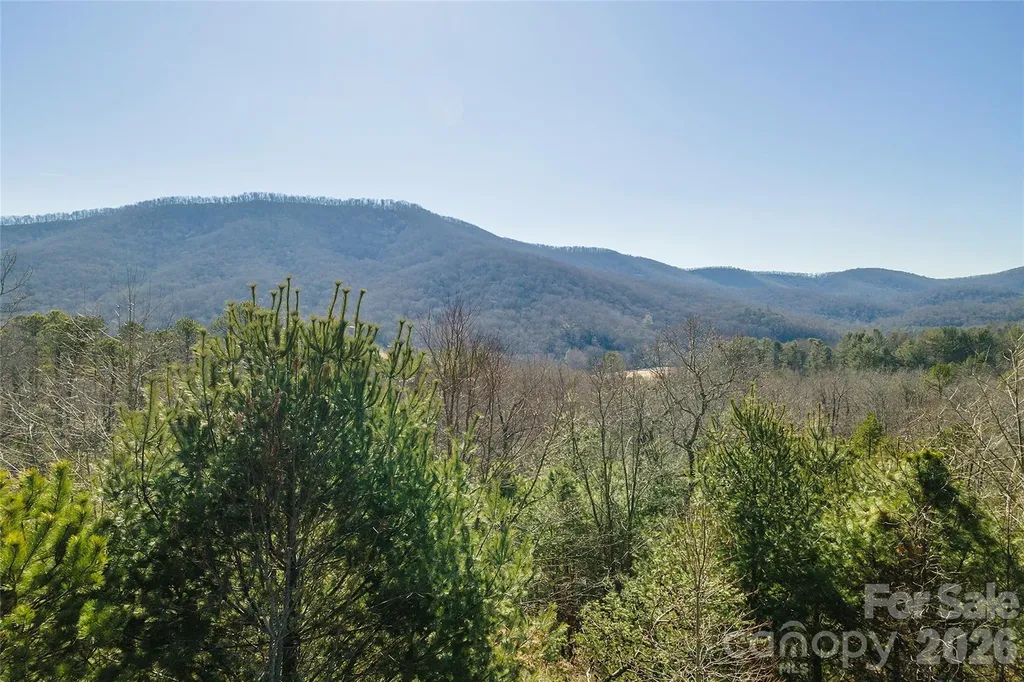99999 Woodhen Way Horse Shoe NC 28742