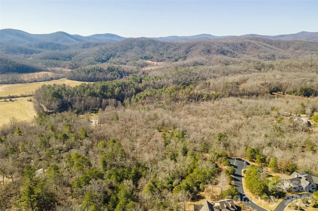 99999 Woodhen Way Horse Shoe NC 28742