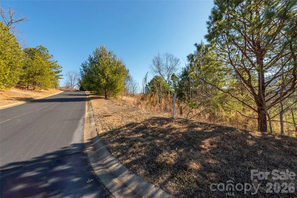 99999 Woodhen Way Horse Shoe NC 28742