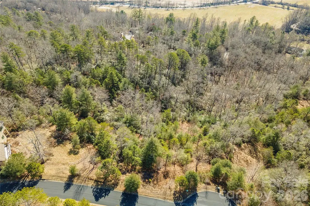 99999 Woodhen Way Horse Shoe NC 28742