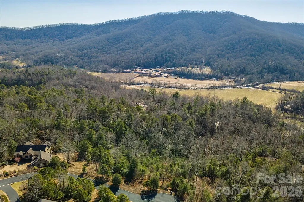 99999 Woodhen Way Horse Shoe NC 28742