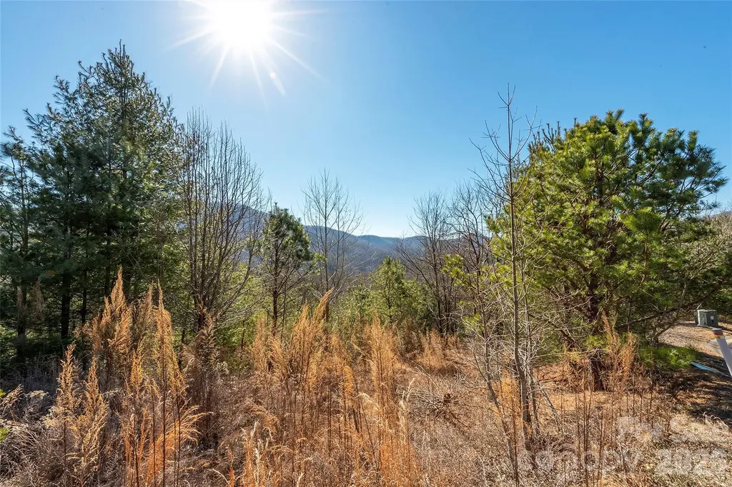 99999 Woodhen Way Horse Shoe NC 28742