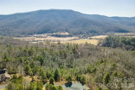 99999 Woodhen Way Horse Shoe NC 28742