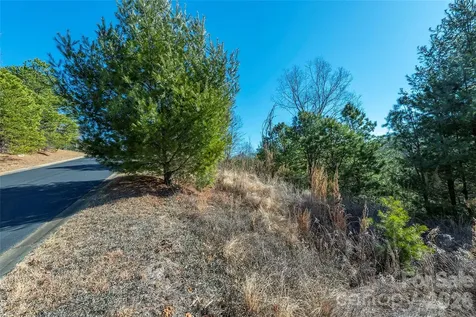 99999 Woodhen Way Horse Shoe NC 28742