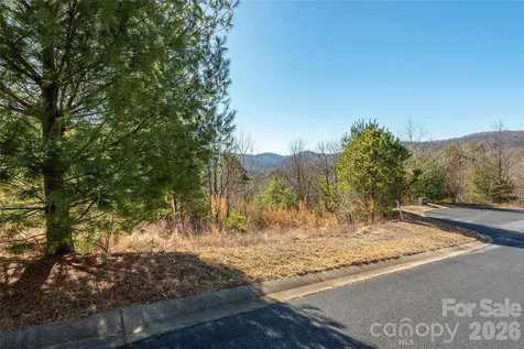 99999 Woodhen Way Horse Shoe NC 28742