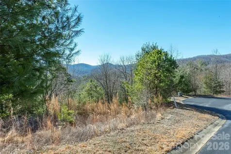 99999 Woodhen Way Horse Shoe NC 28742