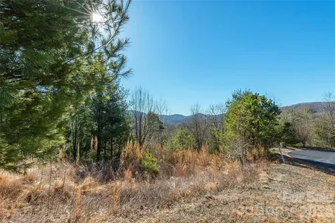 99999 Woodhen Way Horse Shoe NC 28742