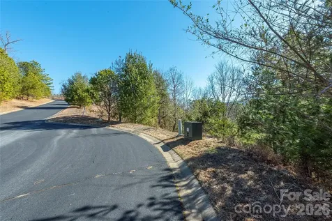 99999 Woodhen Way Horse Shoe NC 28742
