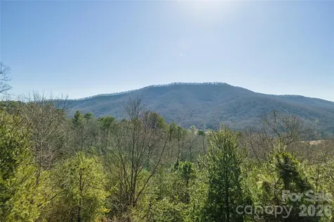 99999 Woodhen Way Horse Shoe NC 28742