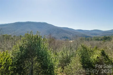 99999 Woodhen Way Horse Shoe NC 28742