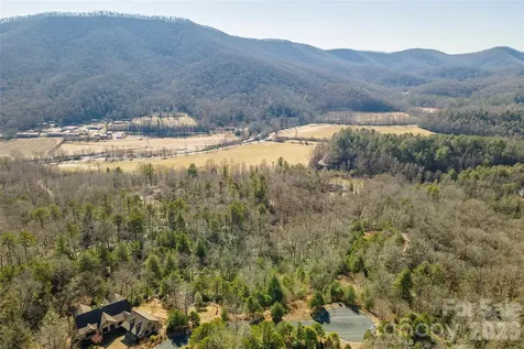 99999 Woodhen Way Horse Shoe NC 28742