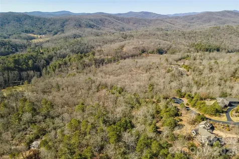 99999 Woodhen Way Horse Shoe NC 28742