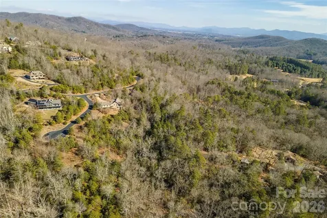 99999 Woodhen Way Horse Shoe NC 28742