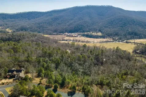 99999 Woodhen Way Horse Shoe NC 28742