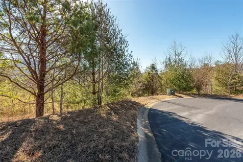 99999 Woodhen Way Horse Shoe NC 28742
