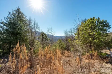 99999 Woodhen Way Horse Shoe NC 28742