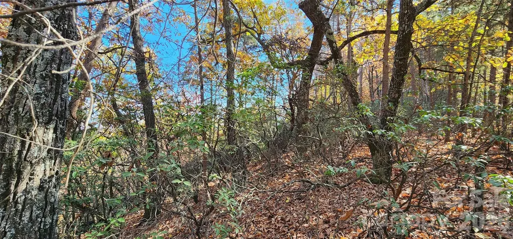 Lot 22 A Pinnacle Parkway Union Mills NC 28167