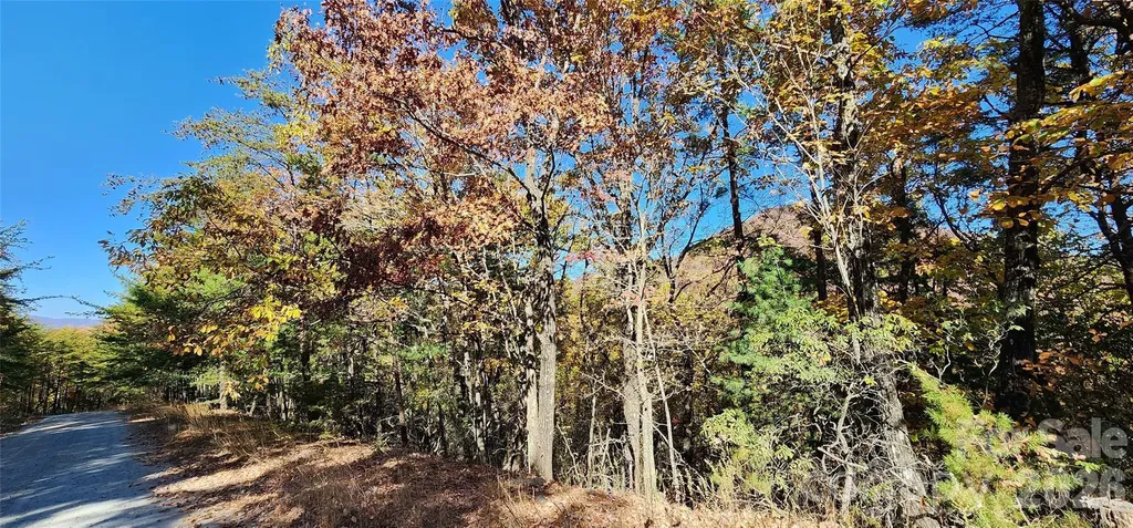 Lot 22 A Pinnacle Parkway Union Mills NC 28167