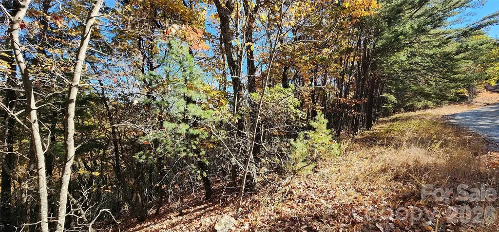 Lot 22 A Pinnacle Parkway Union Mills NC 28167