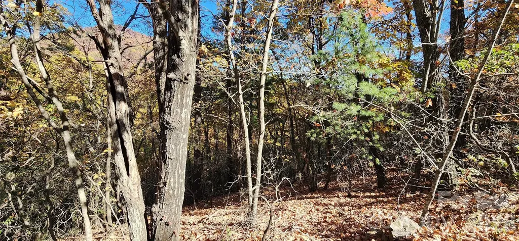 Lot 22 A Pinnacle Parkway Union Mills NC 28167